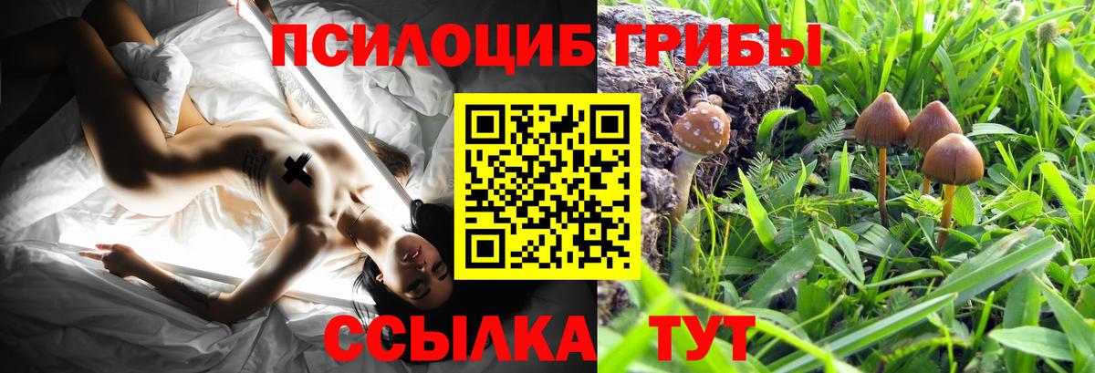 Галлюциногенные грибы GOLDEN TEACHER  Галлюциногенные грибы прущие грибы  Вход с VPN  Краснокаменск 